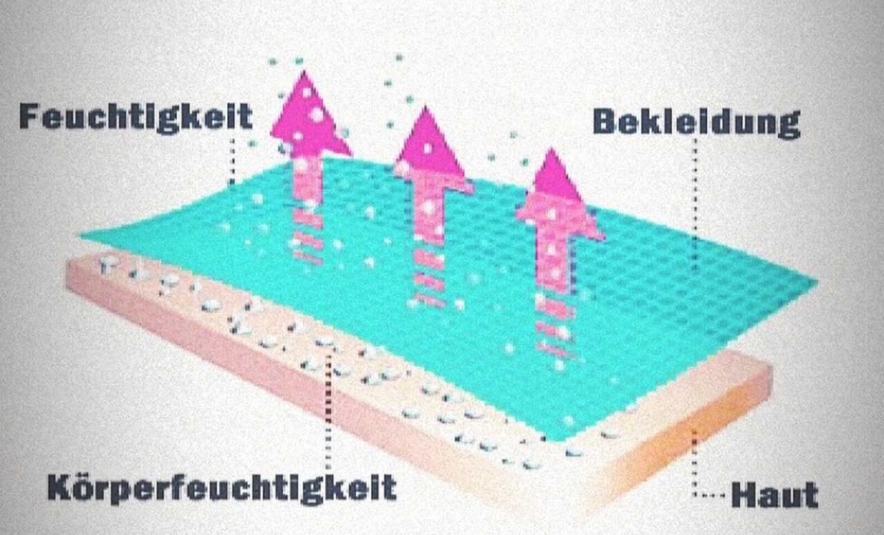 Atmungsaktivität Leder