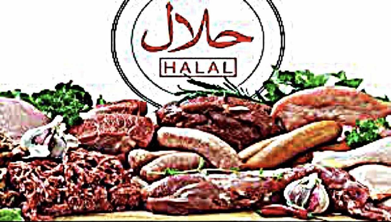 Halal Schächtung 